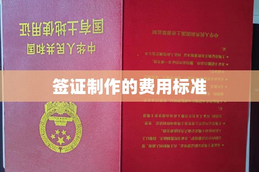 张家川签证制作的费用标准