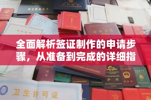 张家川全面解析签证制作的申请步骤，从准备到完成的详细指南