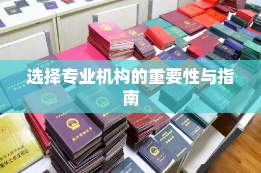 张家川选择专业机构的重要性与指南