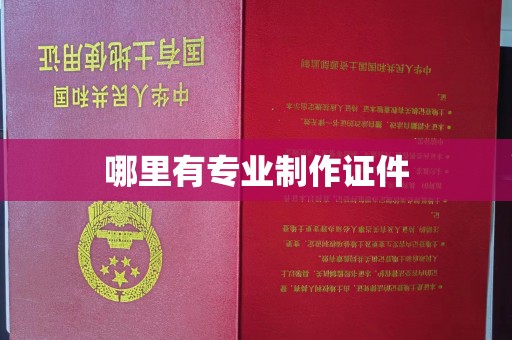 张家川哪里有专业制作证件
