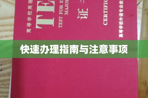 张家川快速办理指南与注意事项